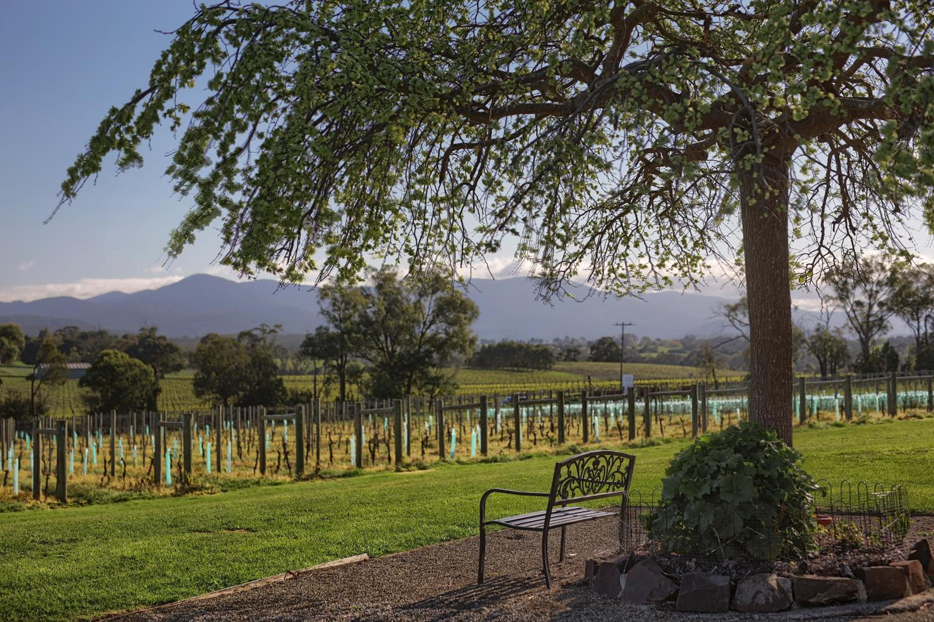 Yarra Yering Homestead