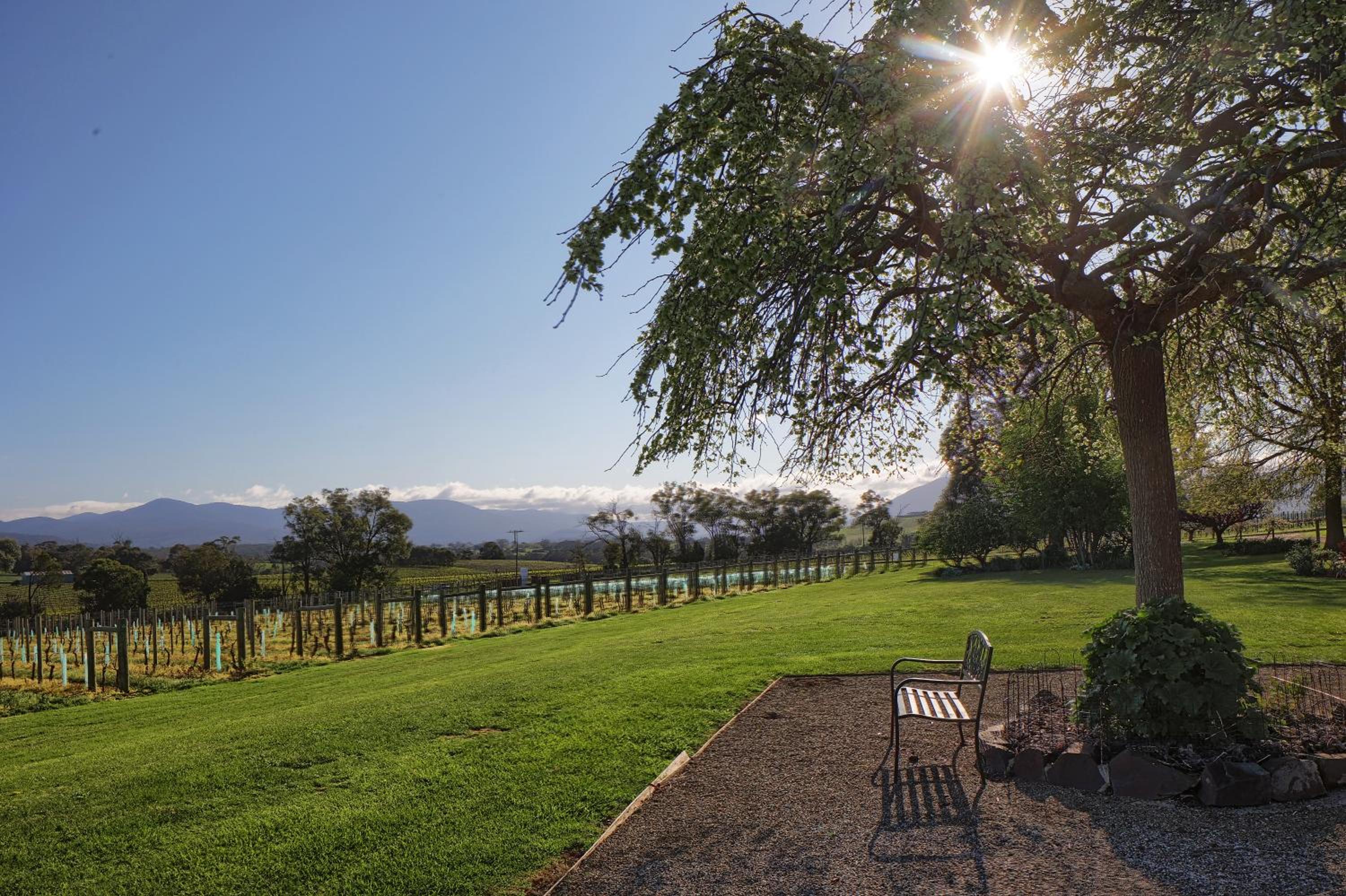 Yarra Yering Homestead