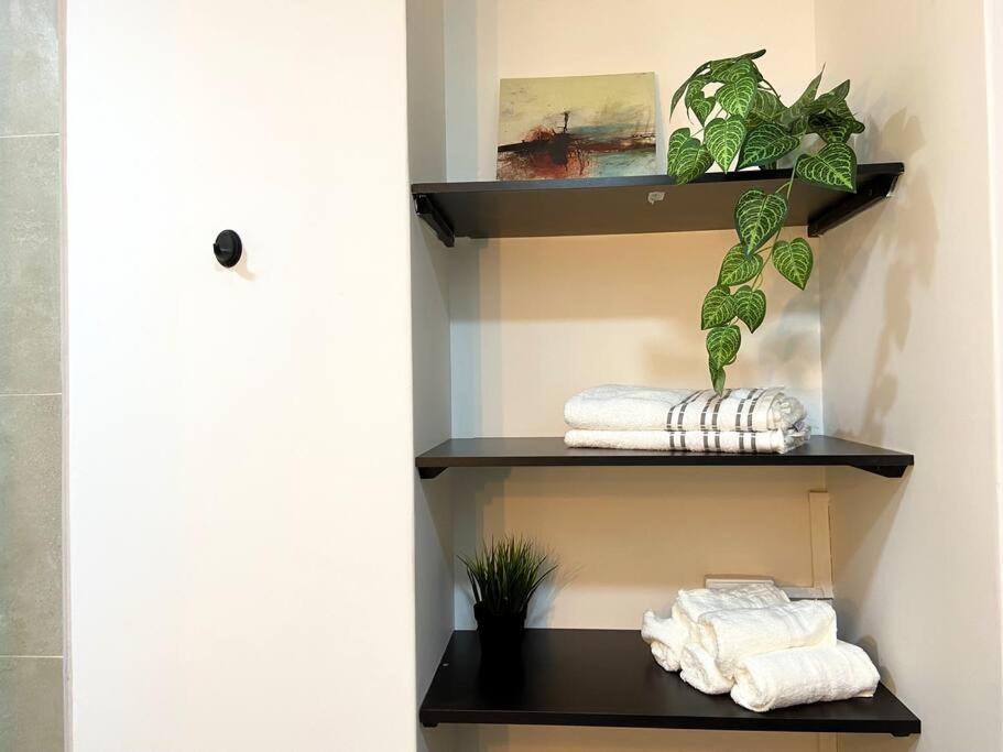 Elegance in Provenza