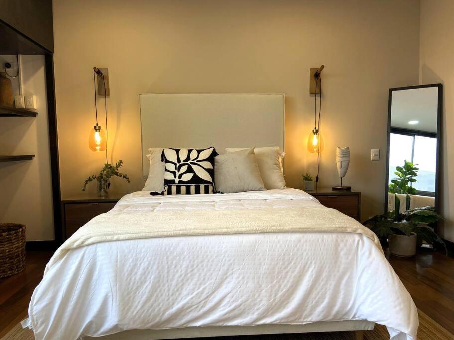 Elegance in Provenza