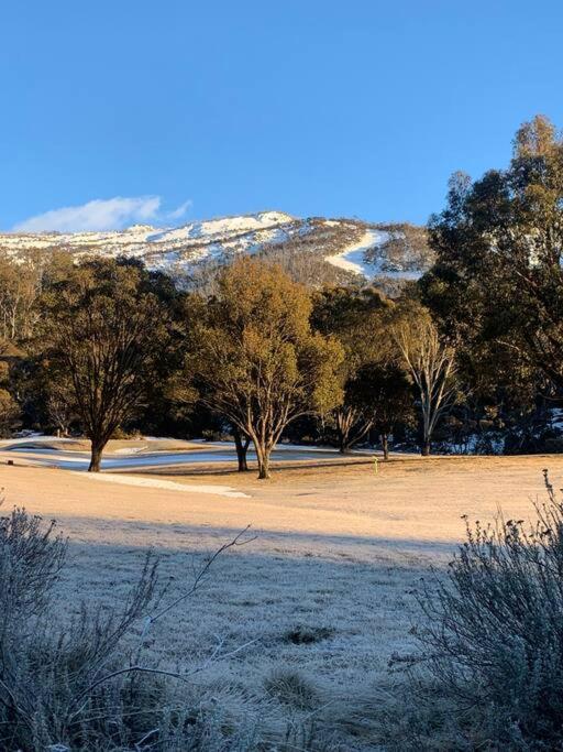 Riverside Cabin 18 Thredbo