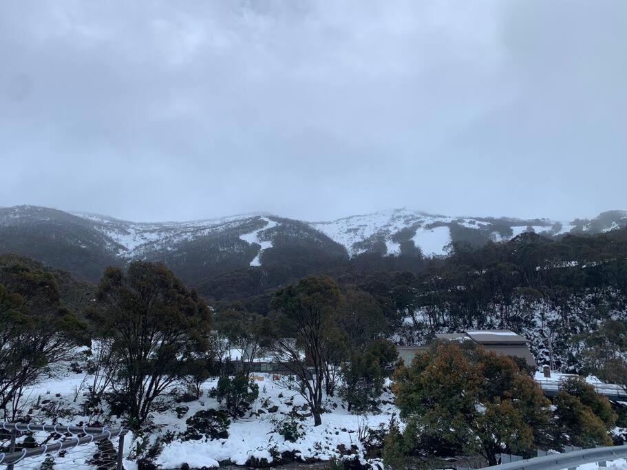 Riverside Cabin 18 Thredbo