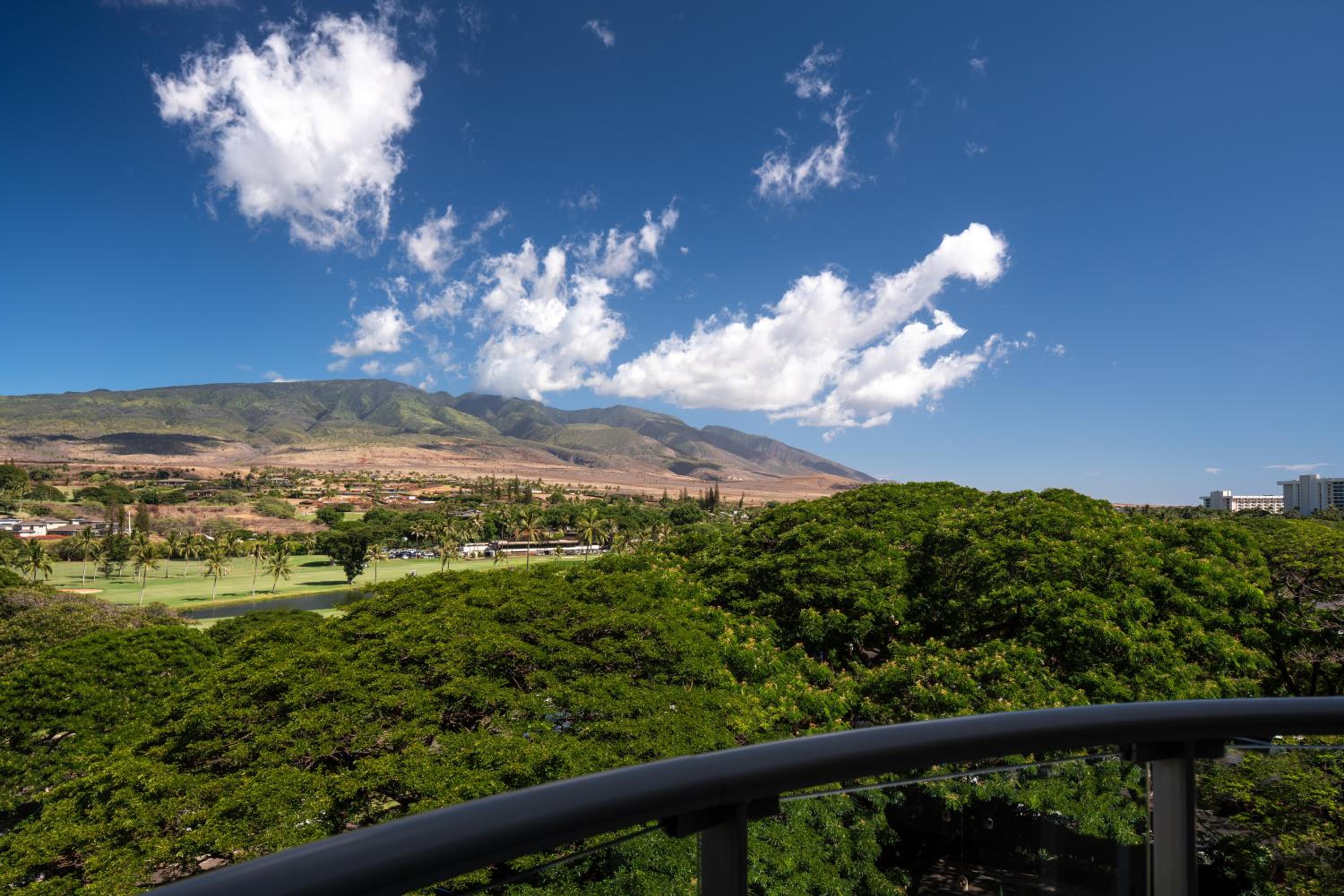 The Westin Maui Resort & Spa, Ka'anapali-2