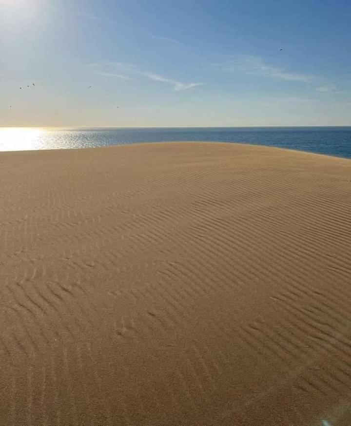Charmant appartement á Tanger