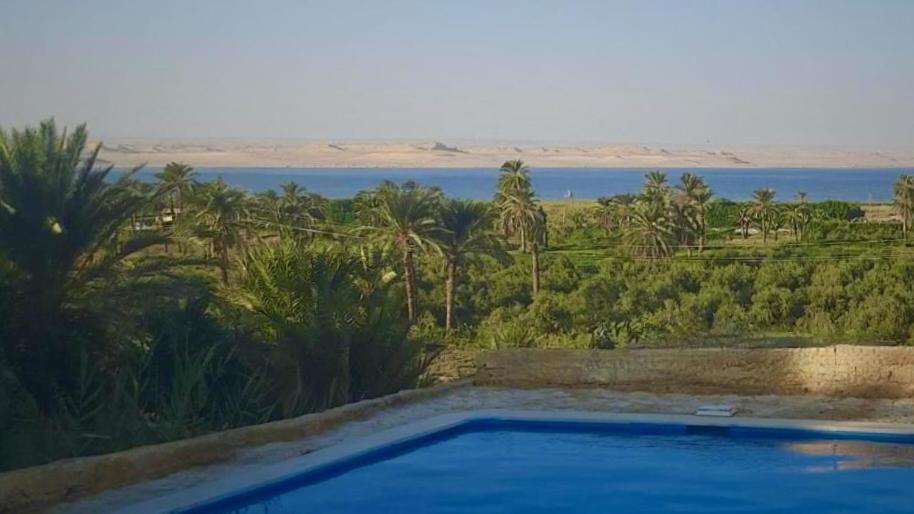 Tunis Camp Fayoum