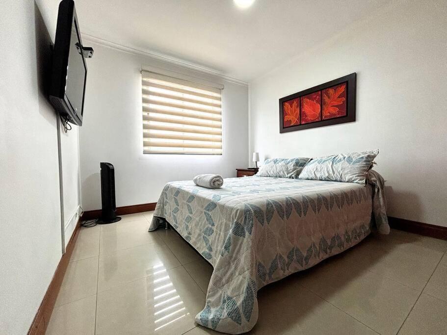 Serene Laureles