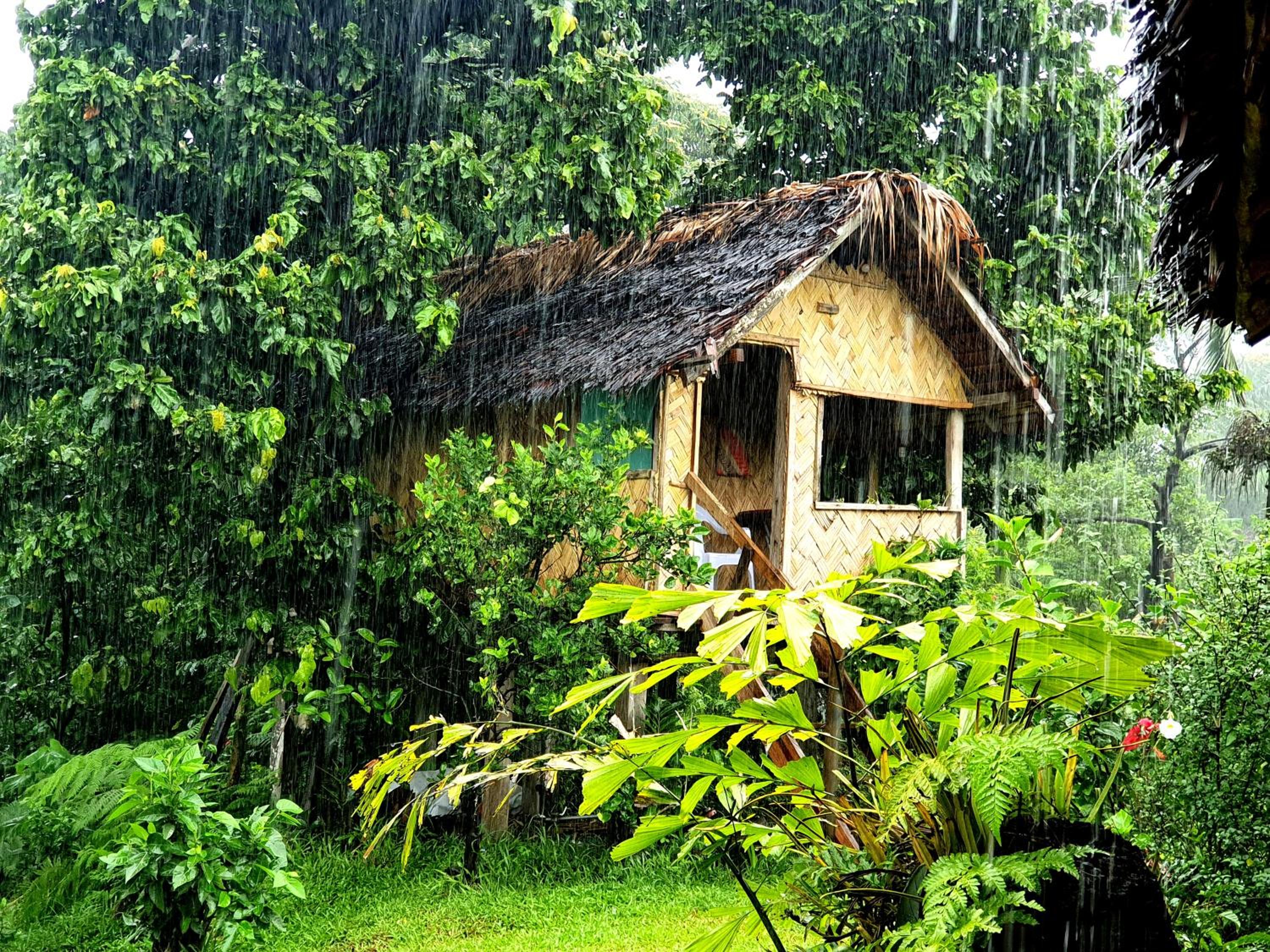 island paradise bungalows view 3