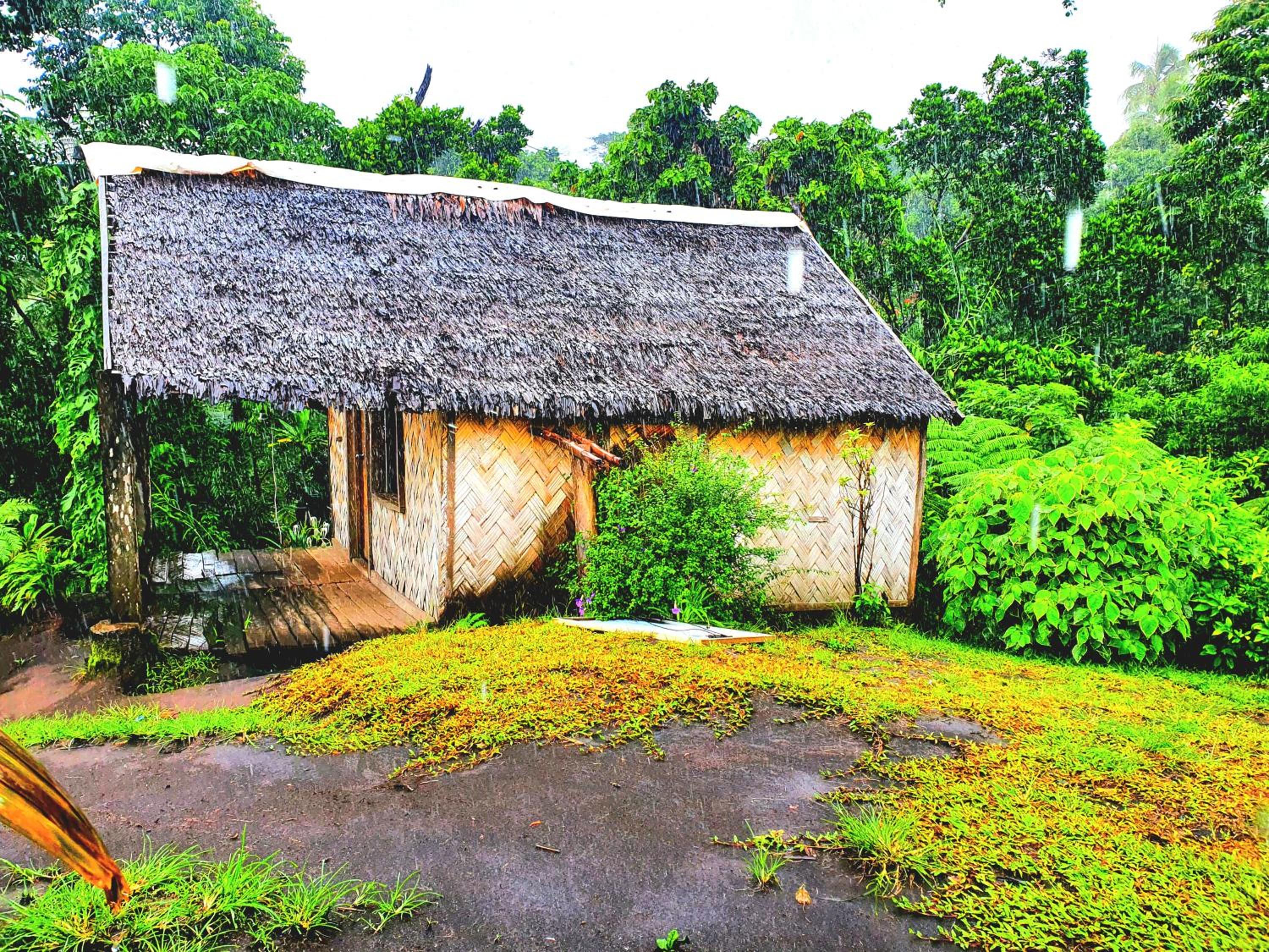 island paradise bungalows view 4