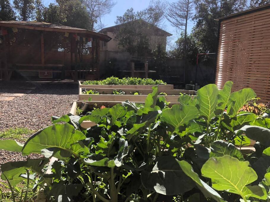Encantadora casa para 12 con piscina