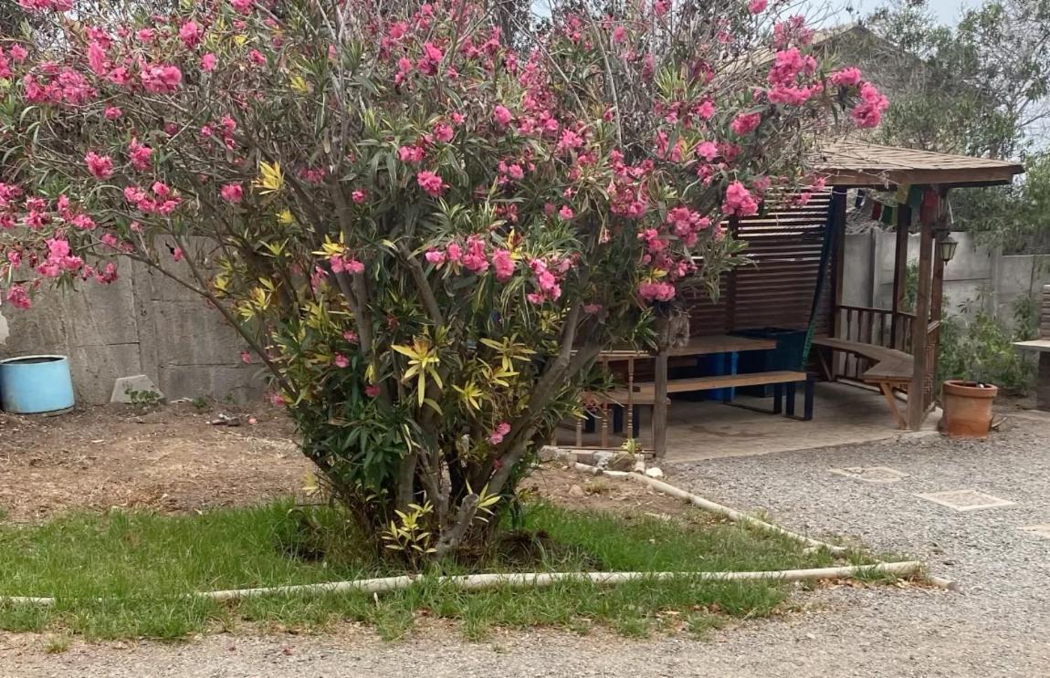 Encantadora casa para 12 con piscina