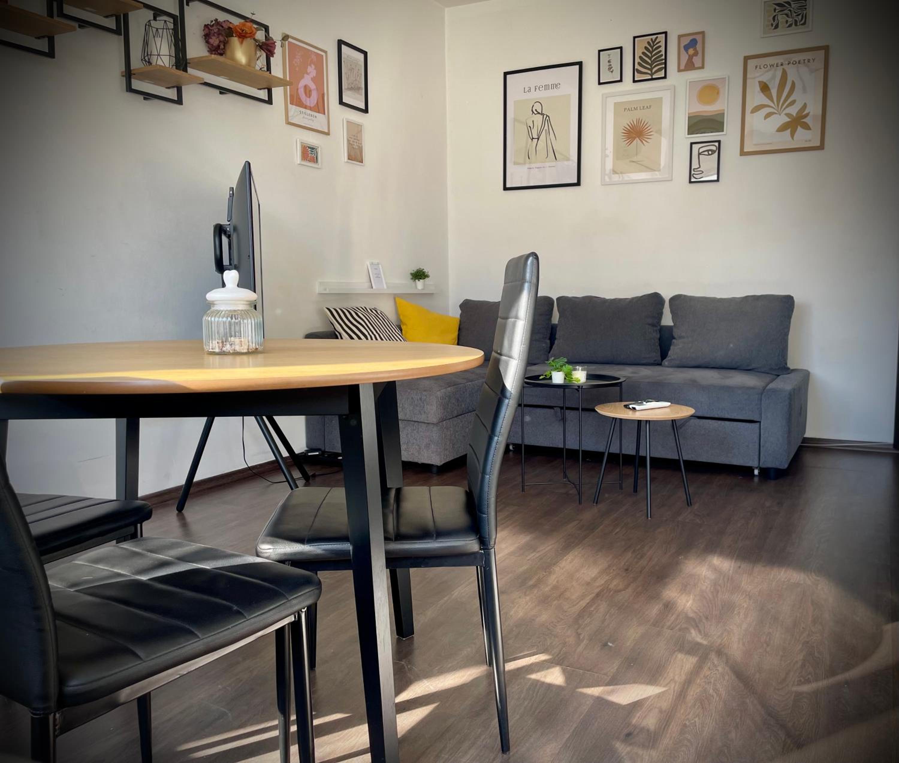 Cozy APT Free Parking Wi-Fi Netflix