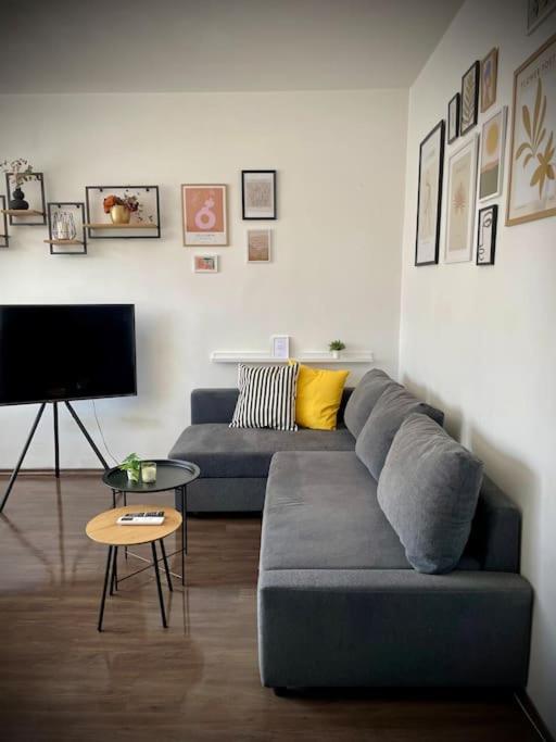 Cozy APT Free Parking Wi-Fi Netflix