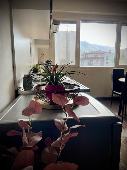 Cozy APT Free Parking Wi-Fi Netflix