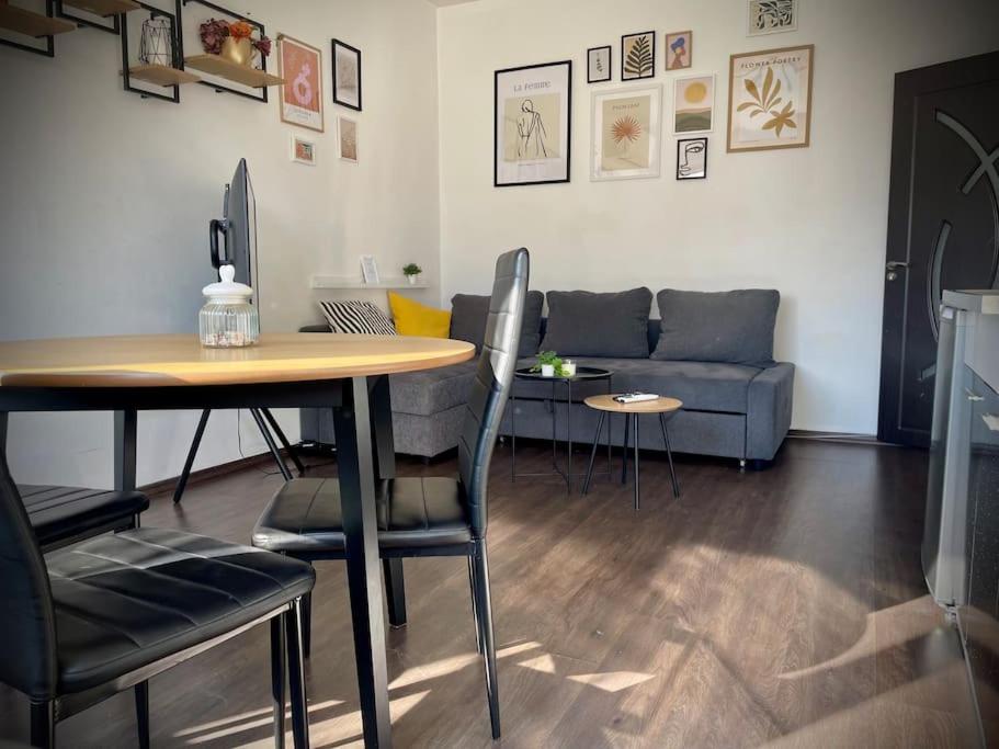Cozy APT Free Parking Wi-Fi Netflix