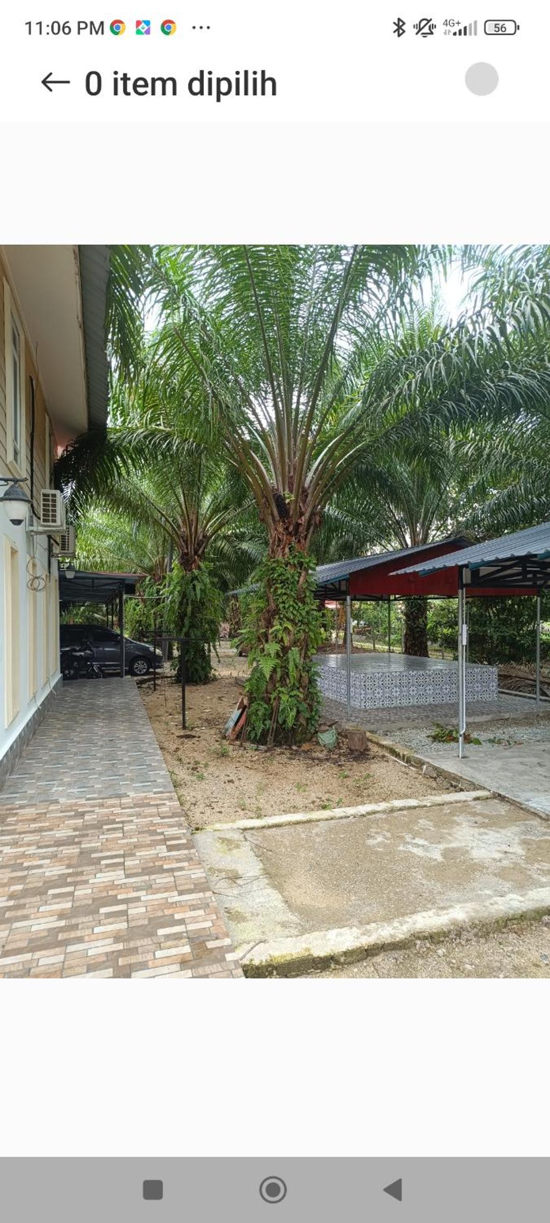 Restu ibu photo 4