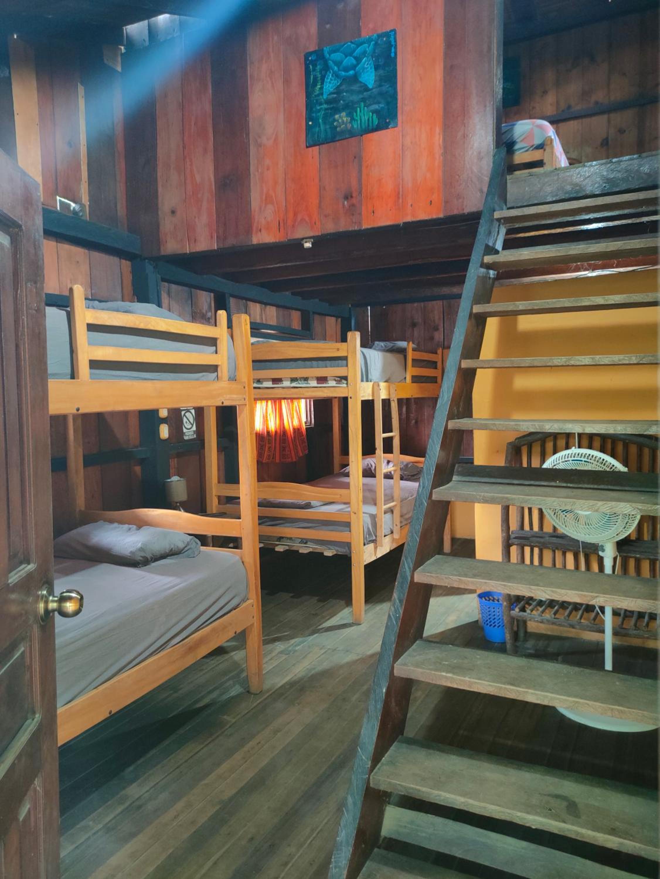 Al Carajo House Backpackers Host