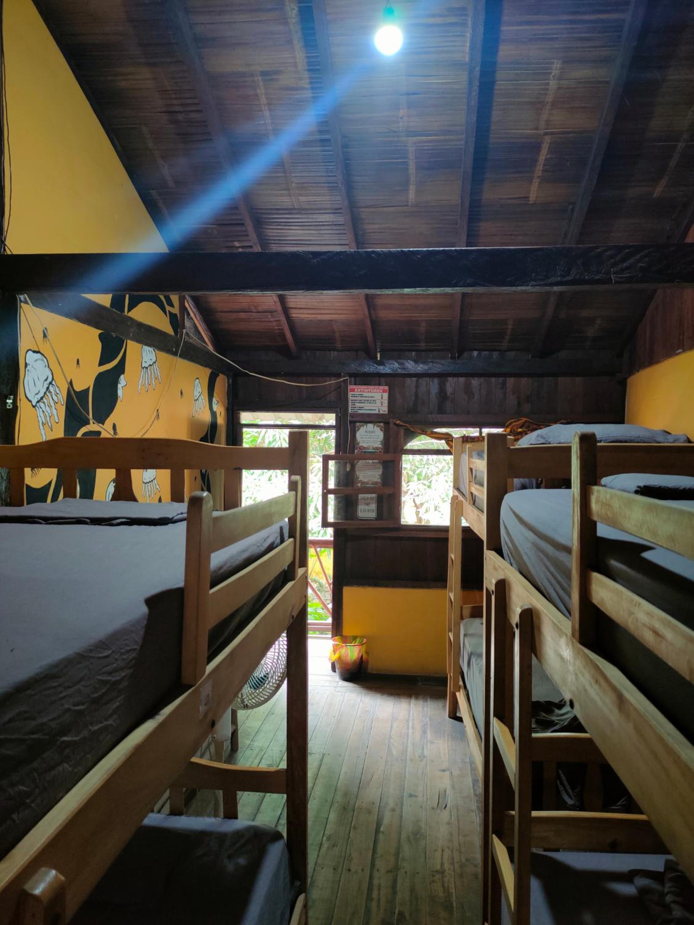 Al Carajo House Backpackers Host