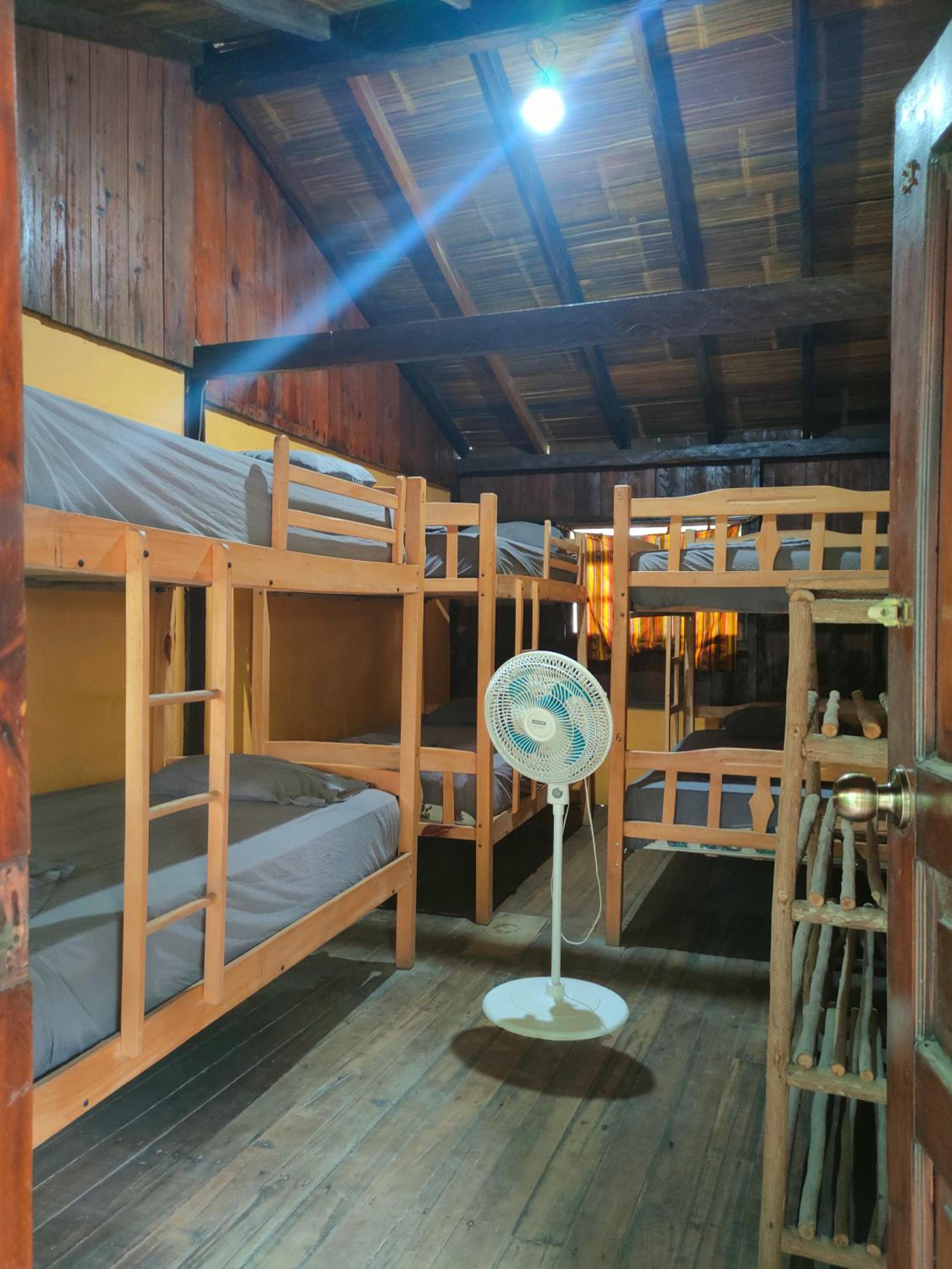 Al Carajo House Backpackers Host