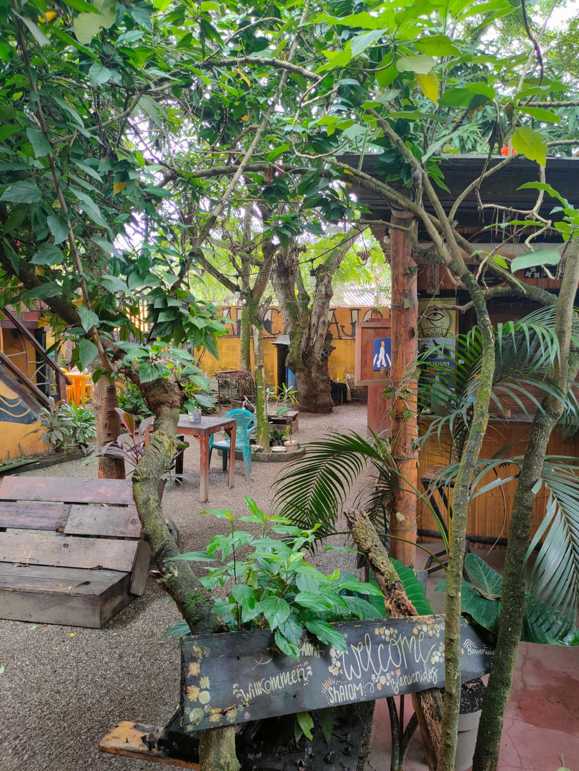 Al Carajo House Backpackers Host