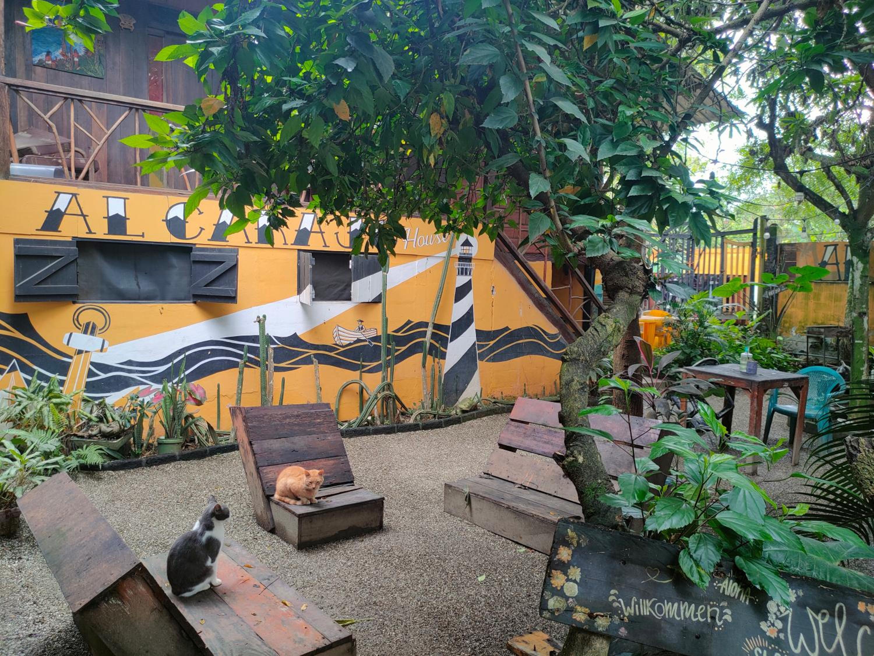 Al Carajo House Backpackers Host