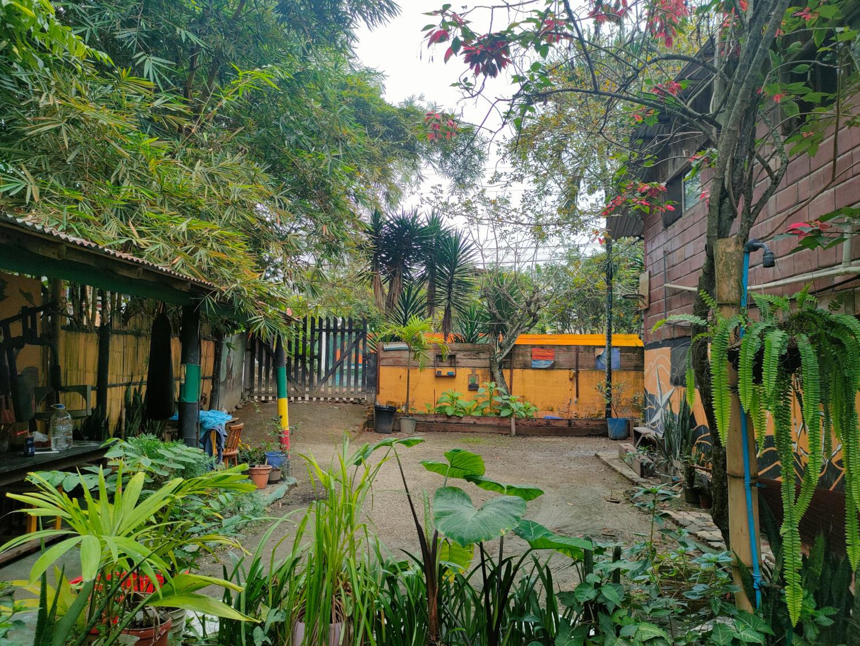 Al Carajo House Backpackers Host