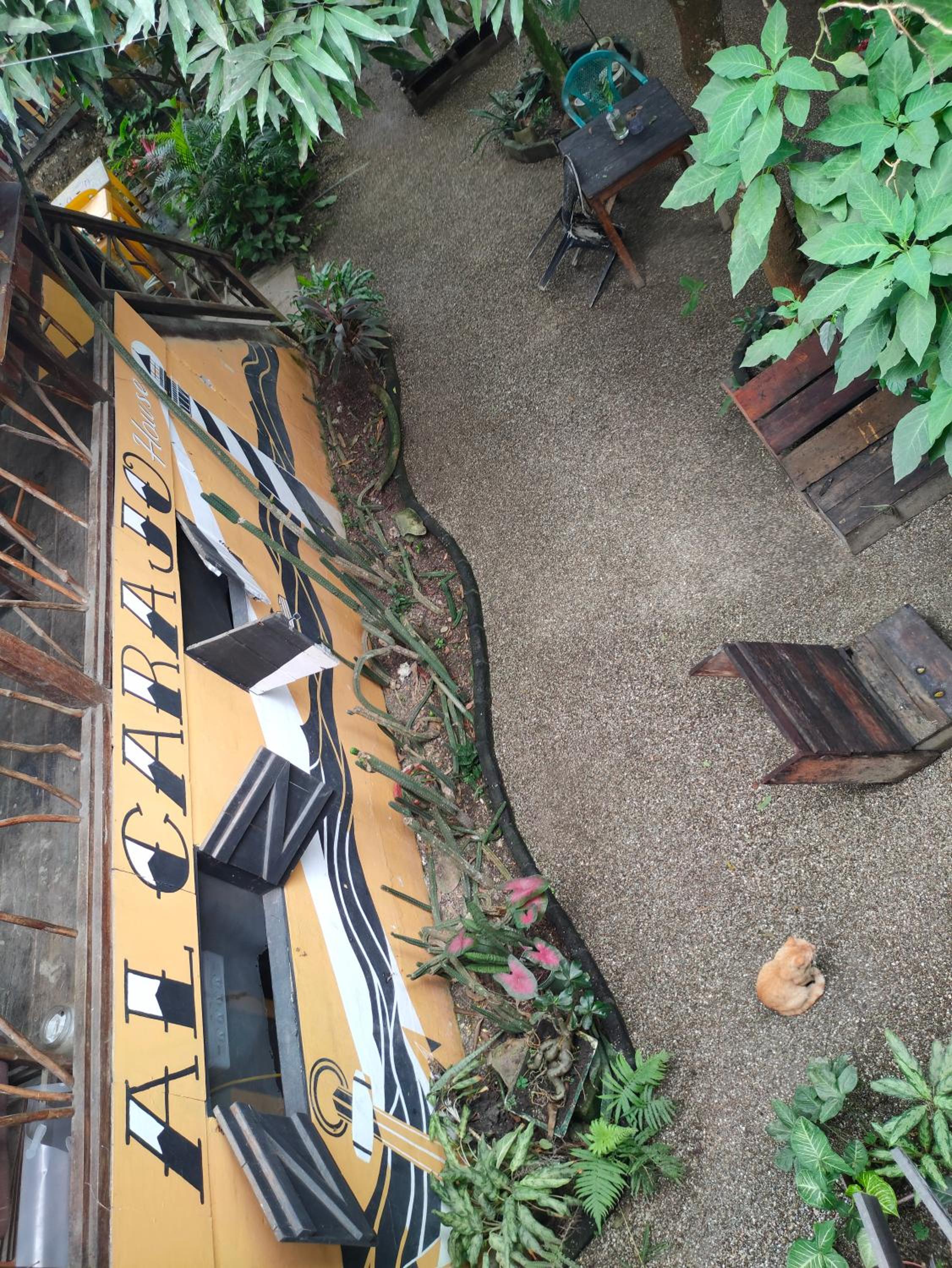 Al Carajo House Backpackers Host