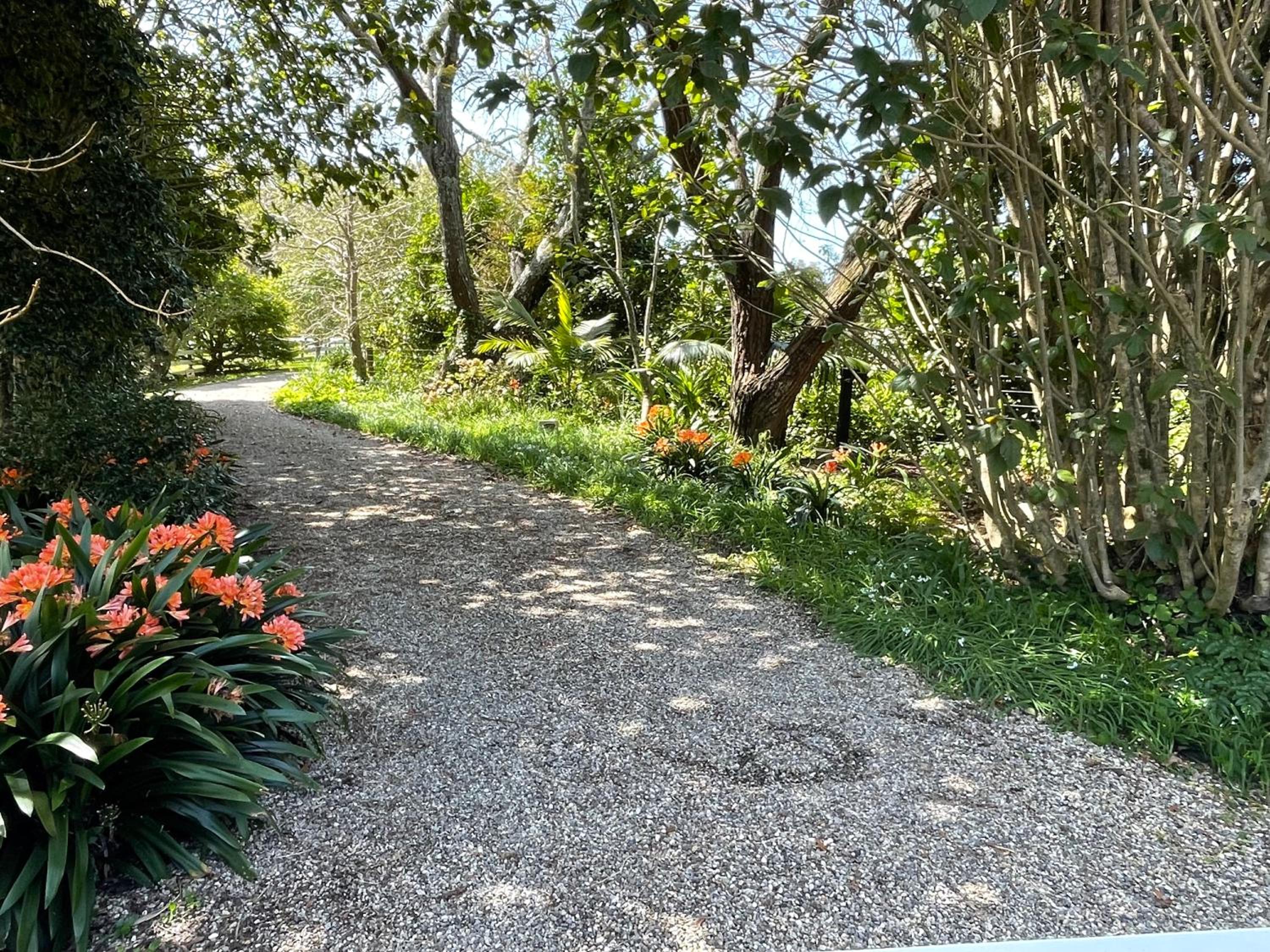 Pa Road B&B Kerikeri NZ view 2