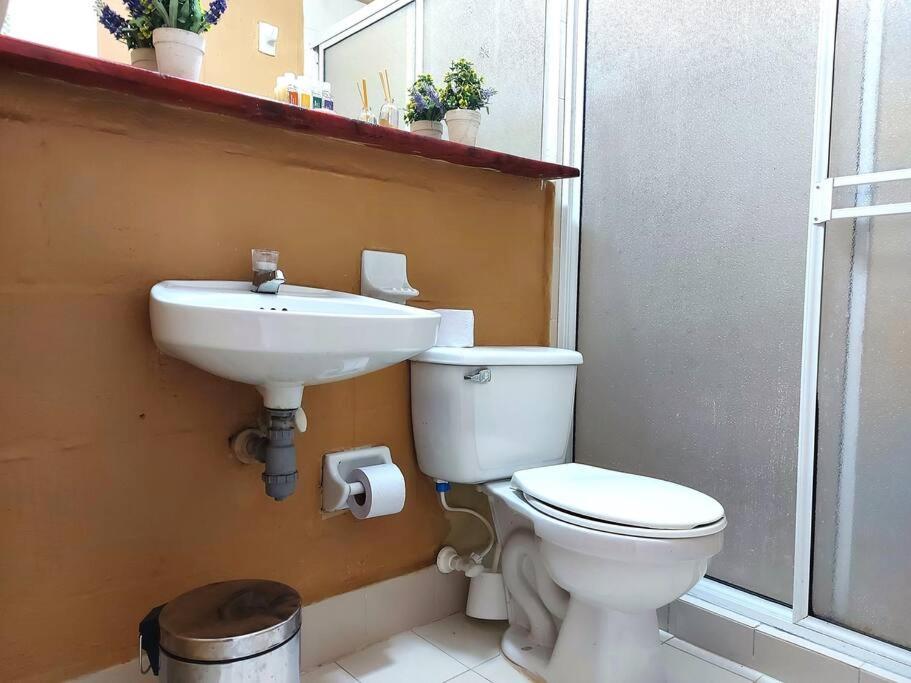 Casa Familiar y Naturaleza en Parcelación Privada