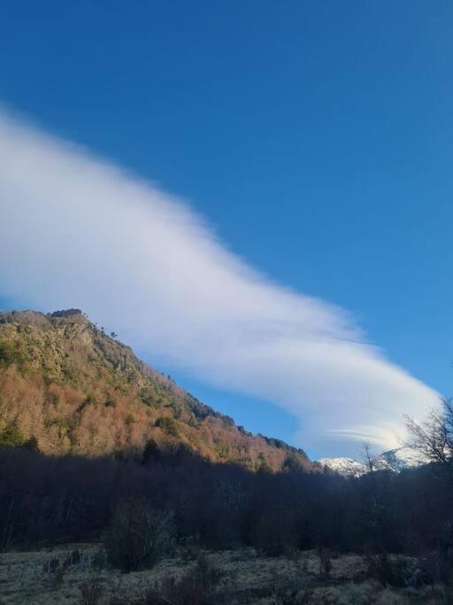 a 15 min de Malalcahuello - Mejor Vista Refugio