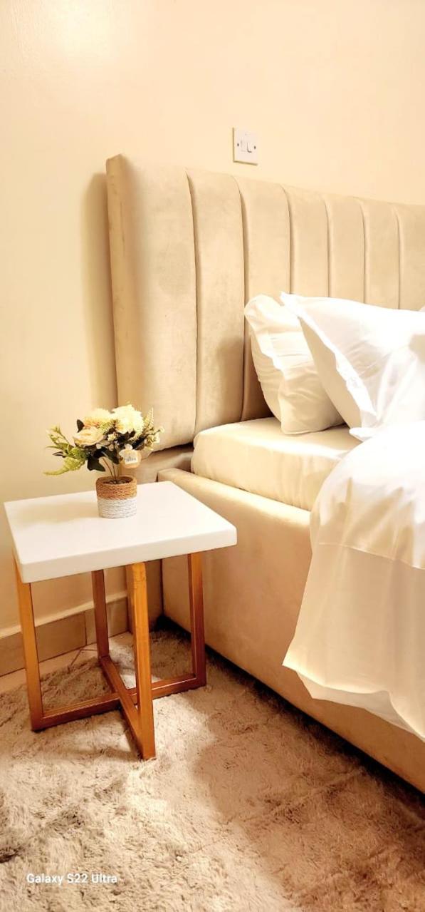 Modern 2 Bedroomed Apartment view 4