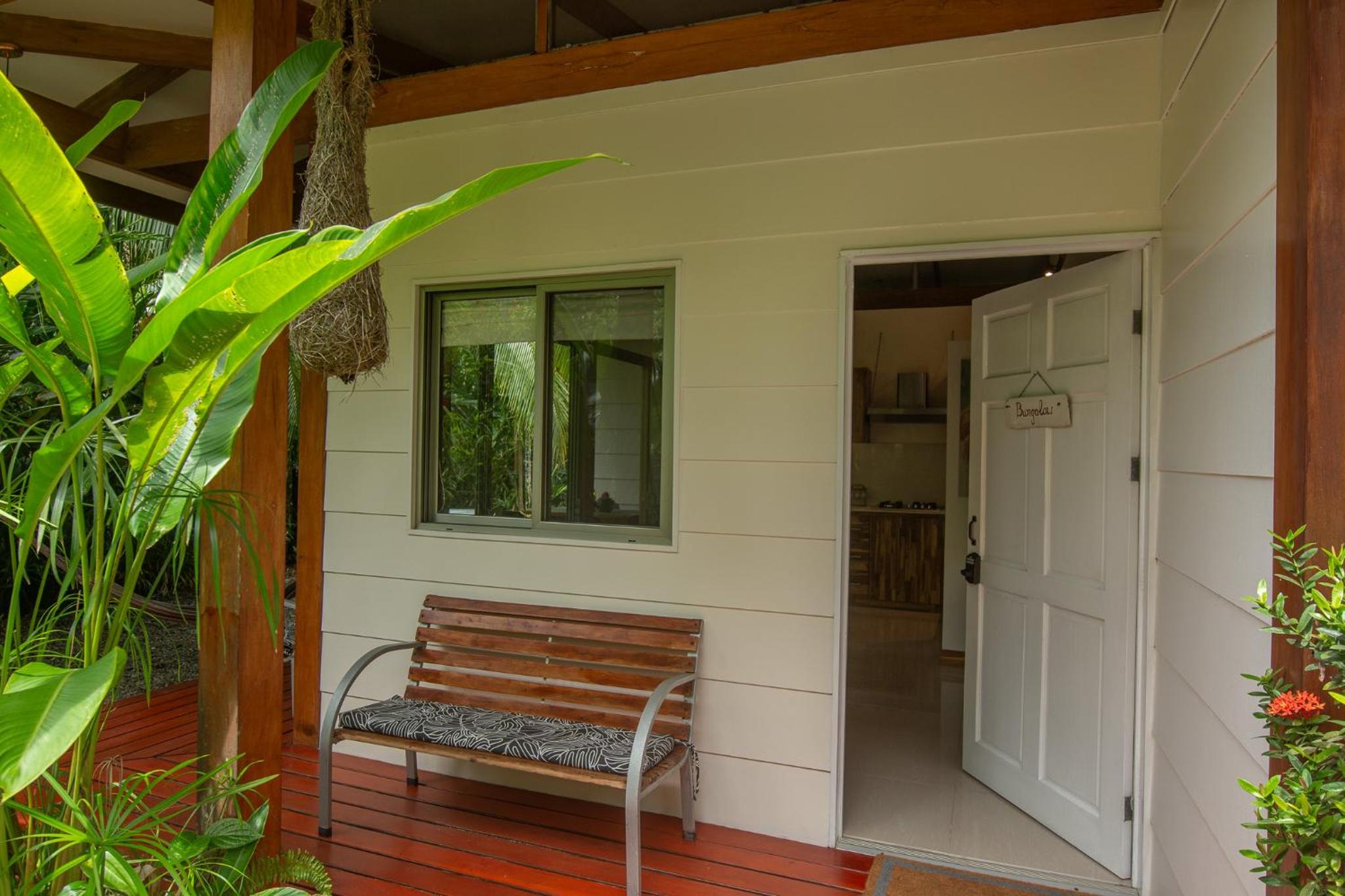Three Monkeys - Close to Cahuita National Park