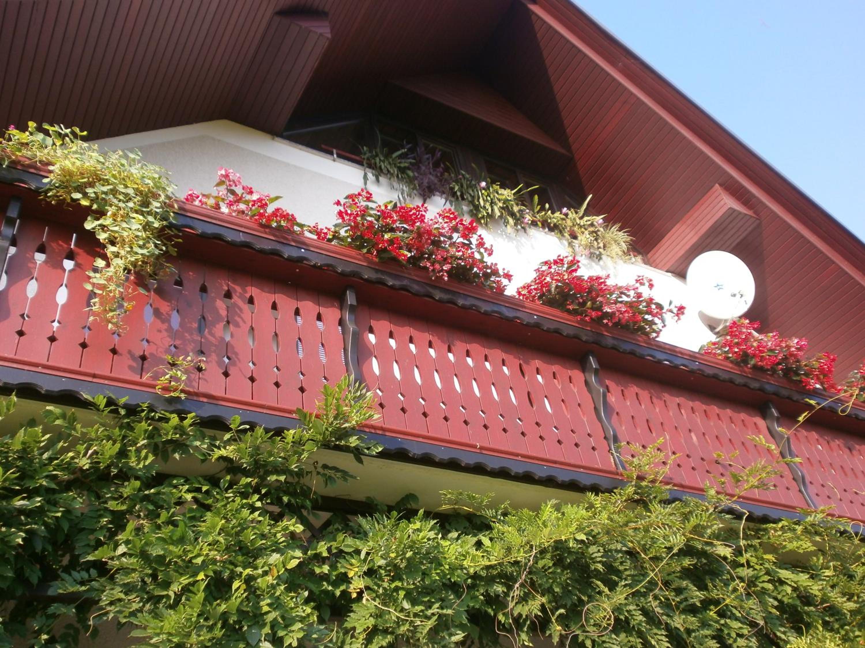 Bed and Breakfast Valjavec view 5