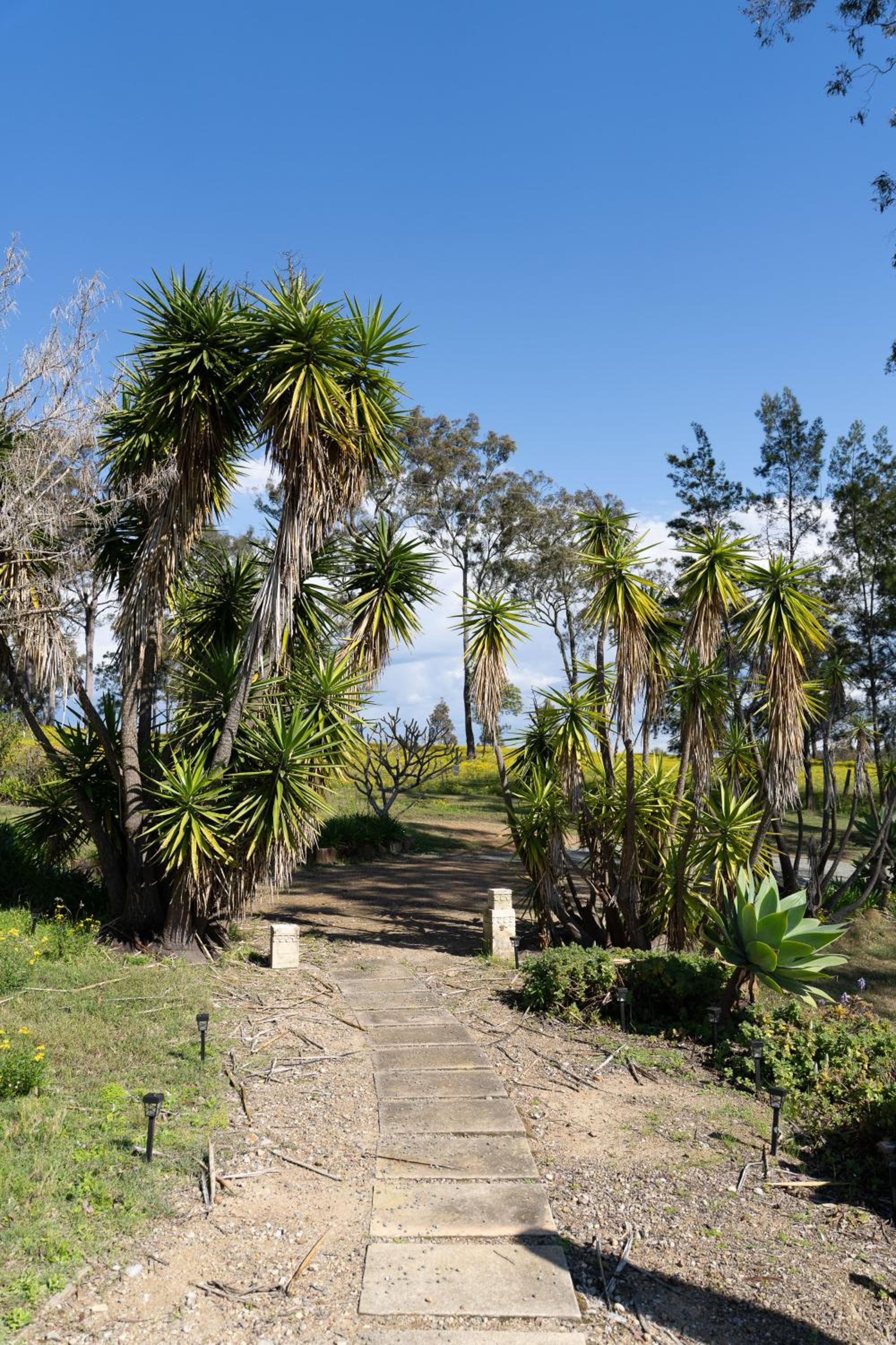 Family Camping Paradise with Kangaroos and Nature