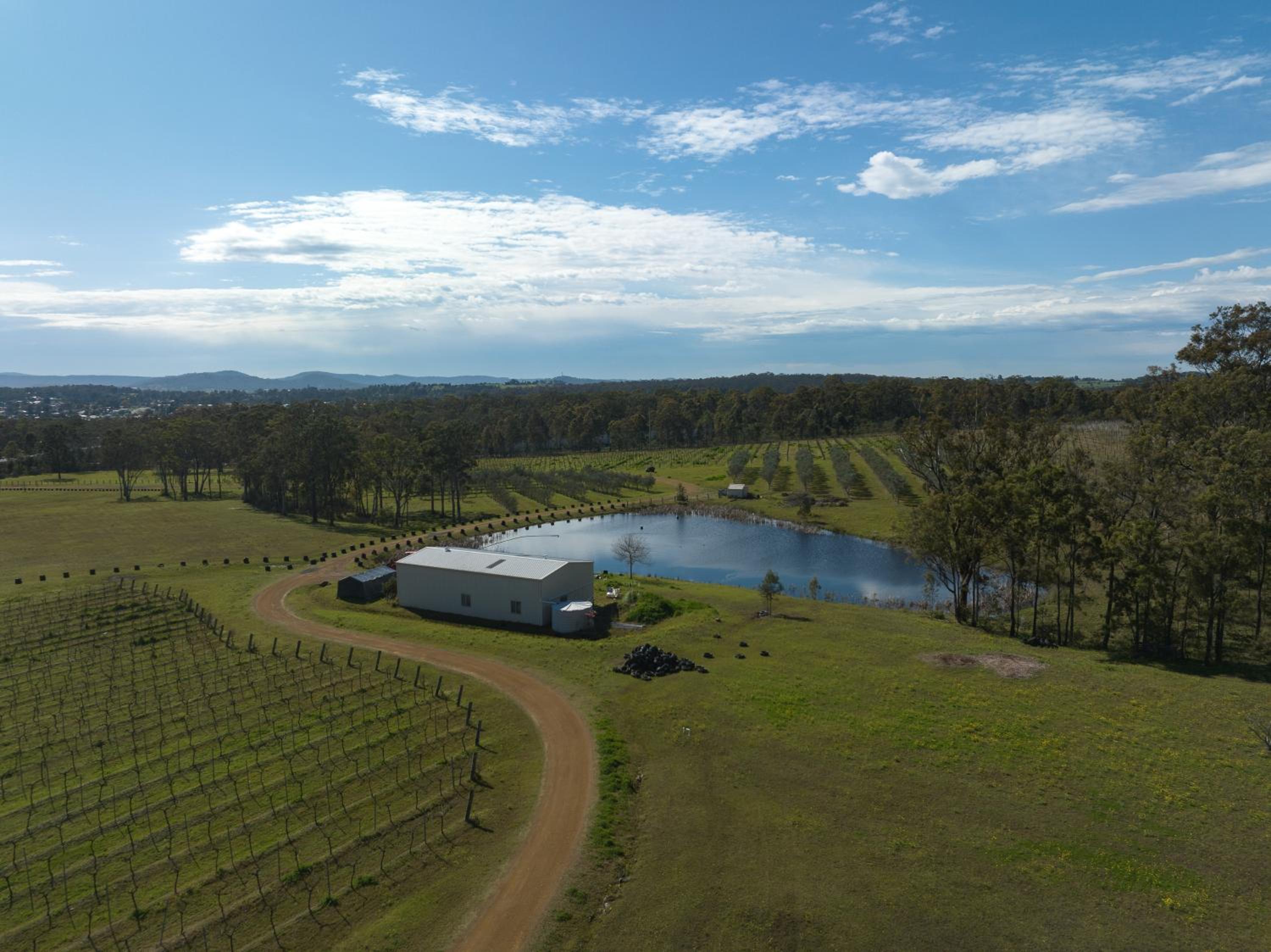 Family Camping Paradise with Kangaroos and Nature