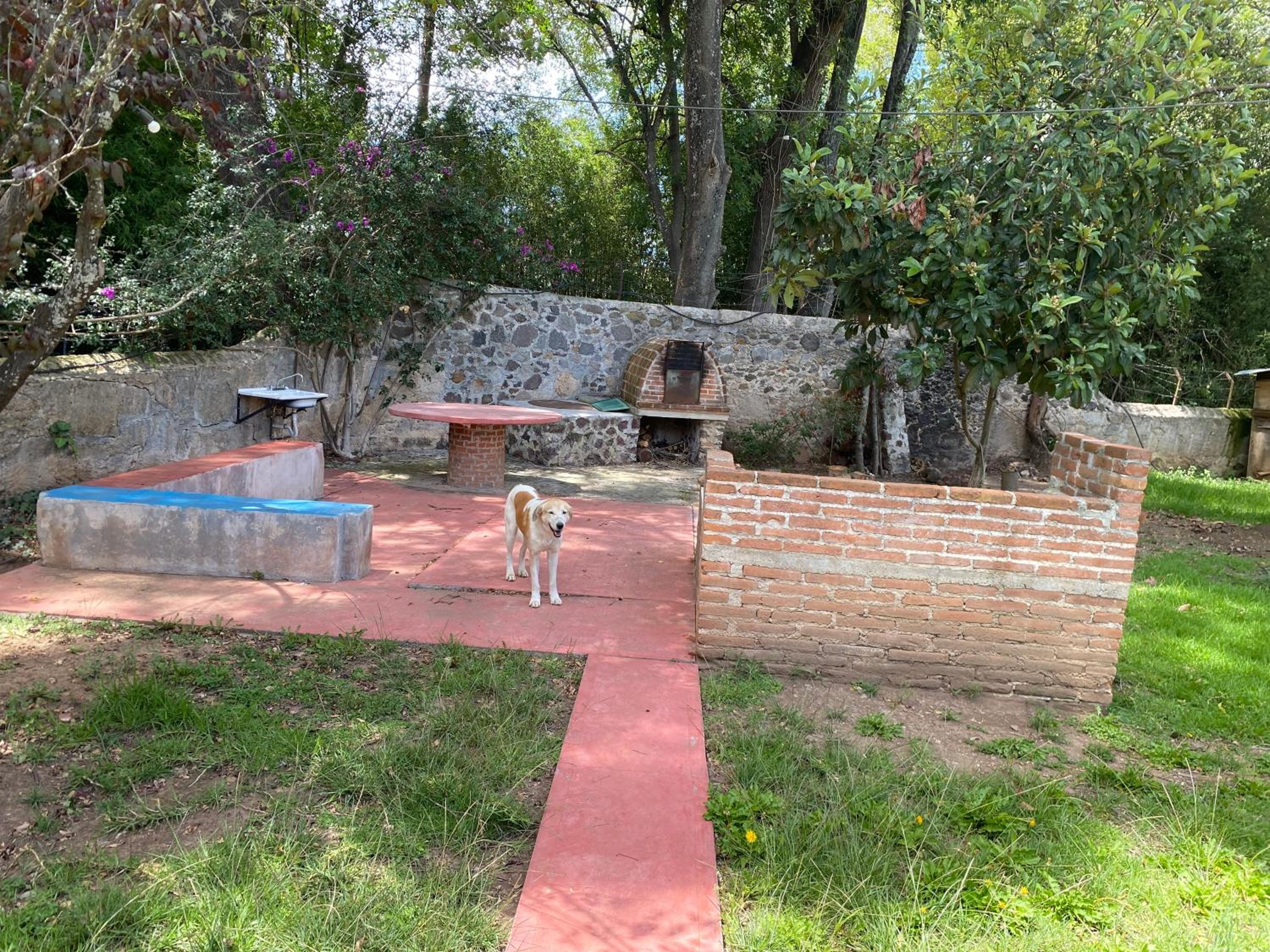 Photo 6