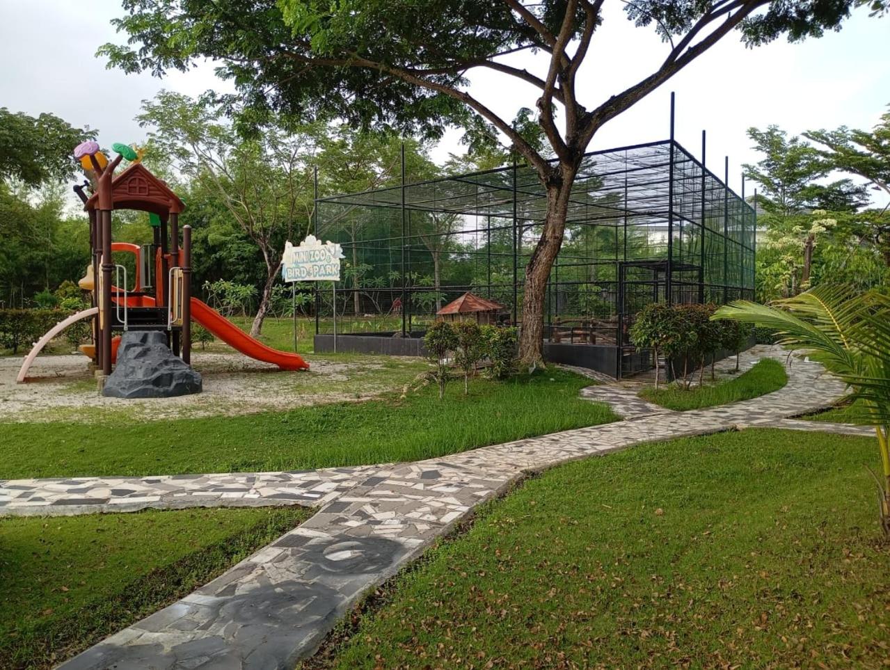 Photo 8