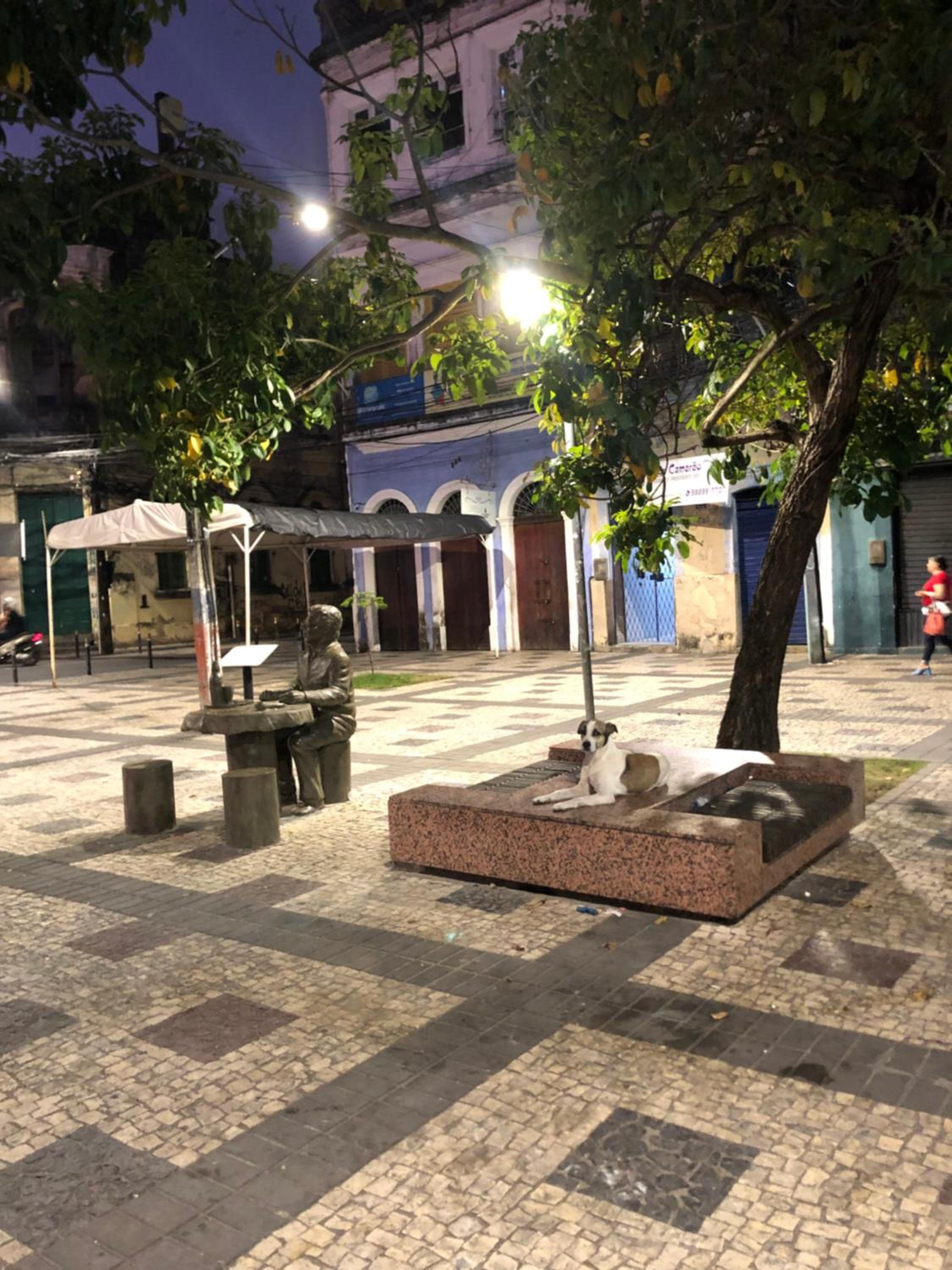 Seu Borba Pousada & Hostel