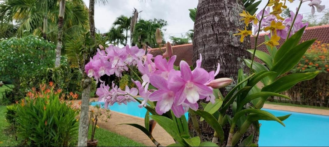 The Golddiggers Resort