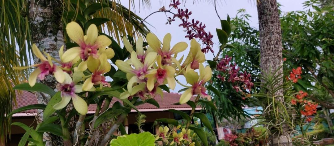 The Golddiggers Resort