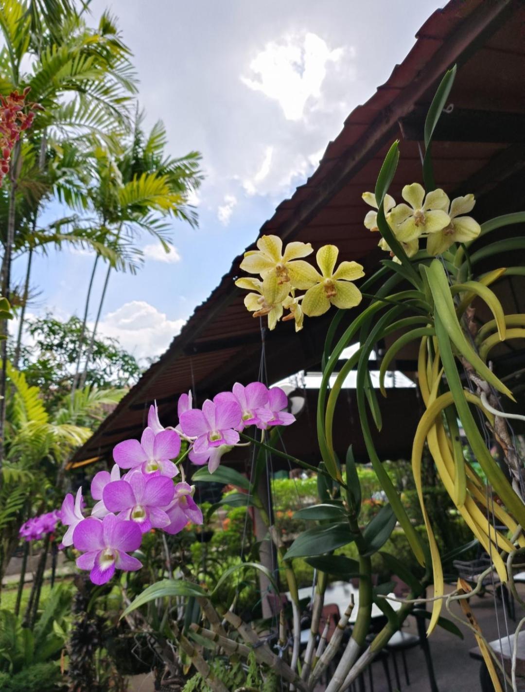 The Golddiggers Resort