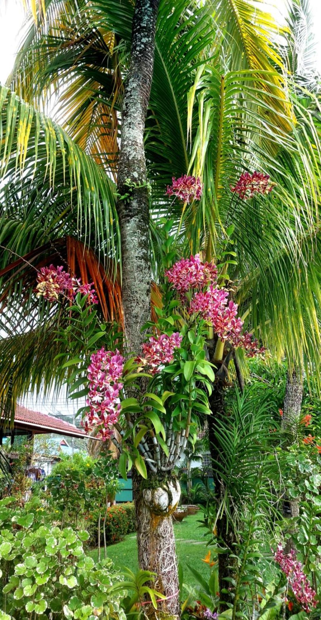 The Golddiggers Resort