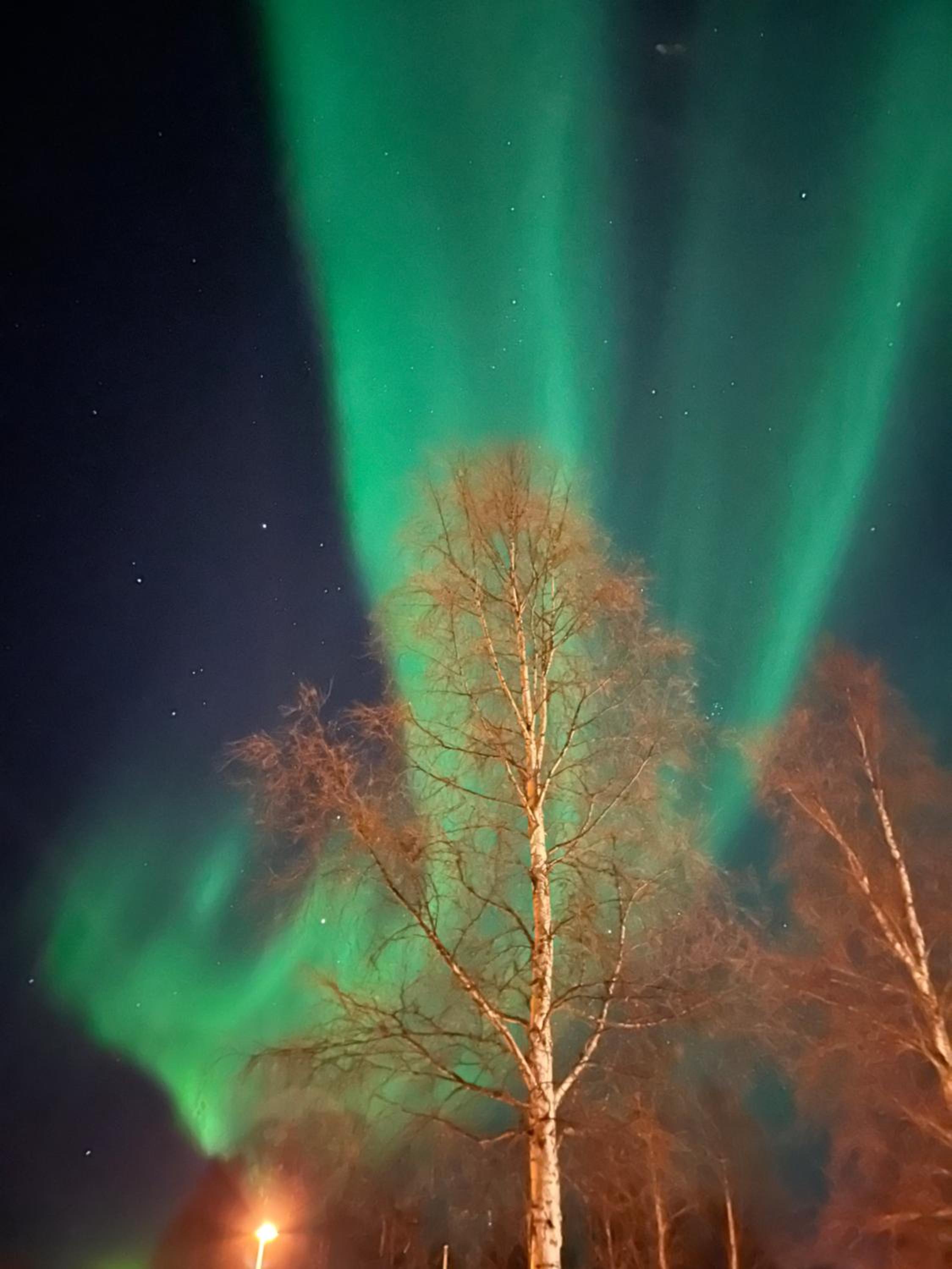 North Star