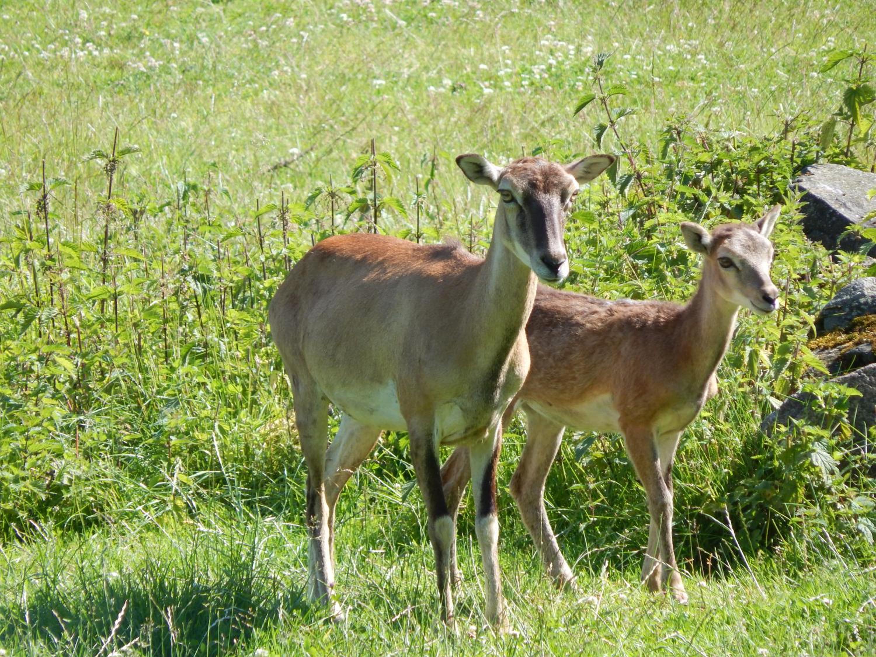 Zur-kleinen-Auszeit