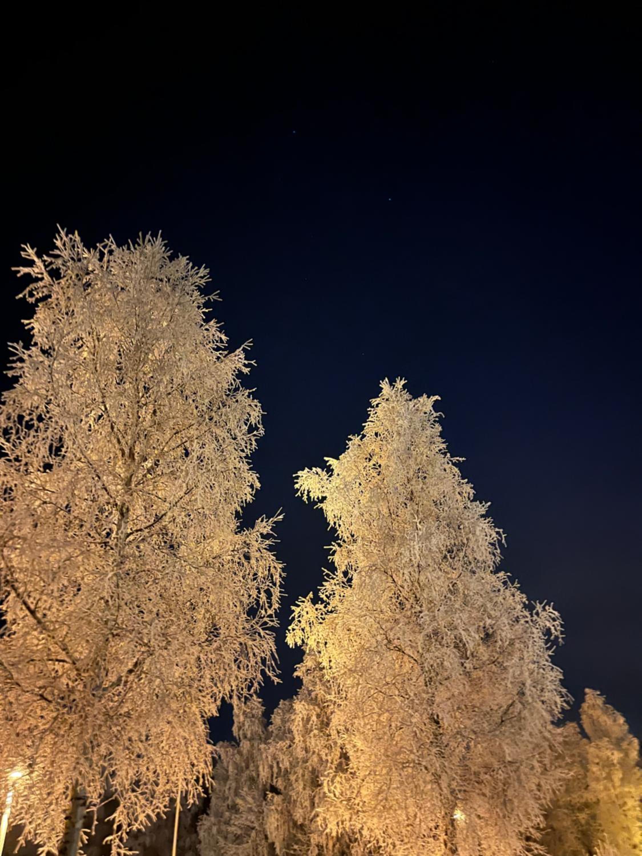 North Star