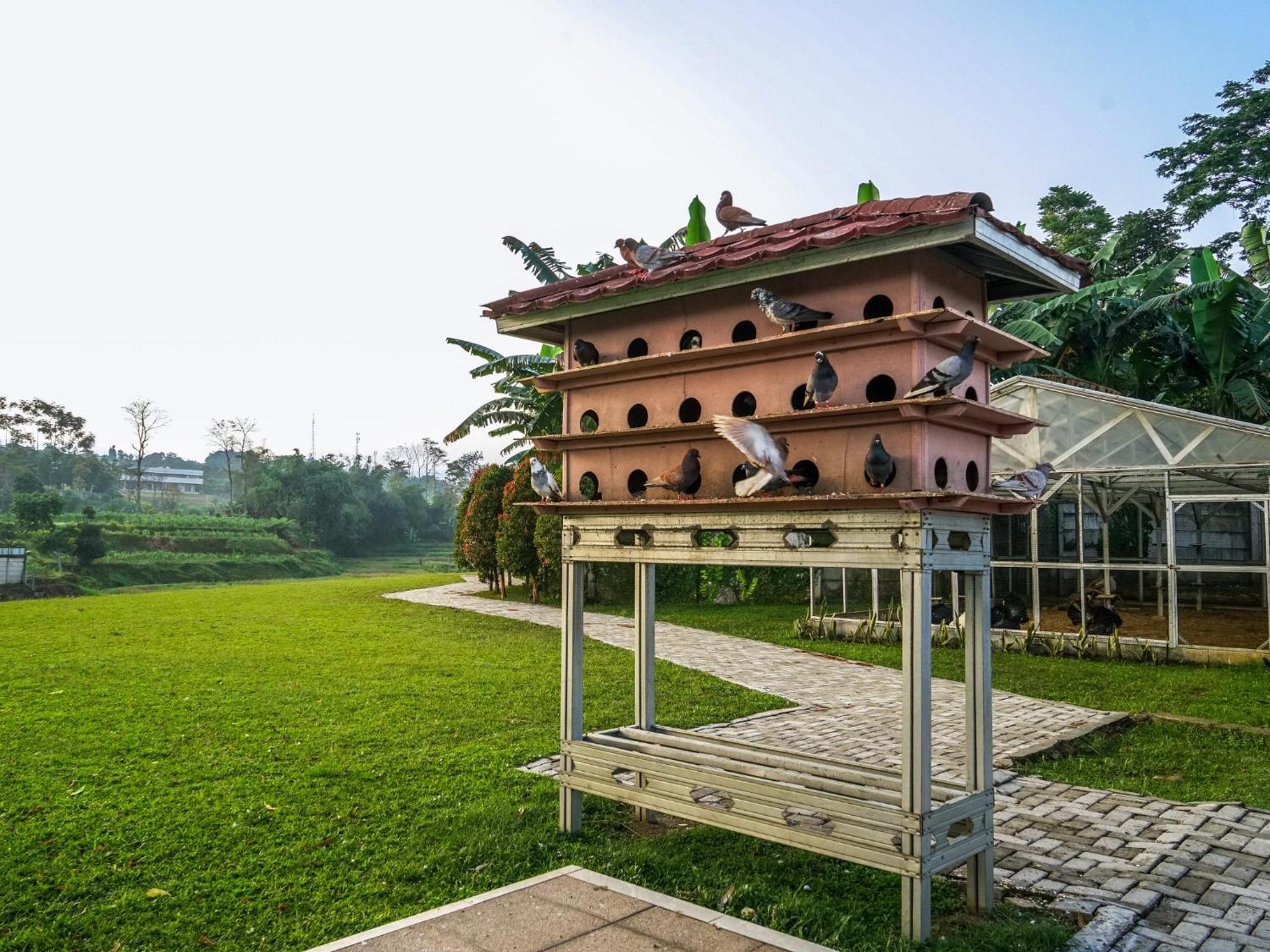 Omah Klekaran