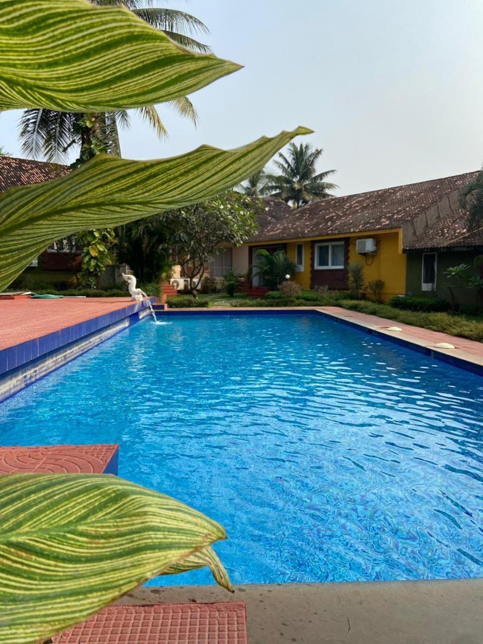 3bhk villa and 3bhk apartment candolim anjuna with pool view 4
