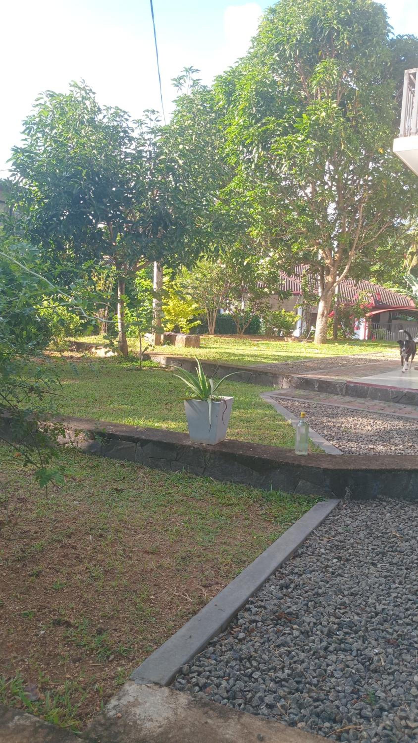 Villagesight