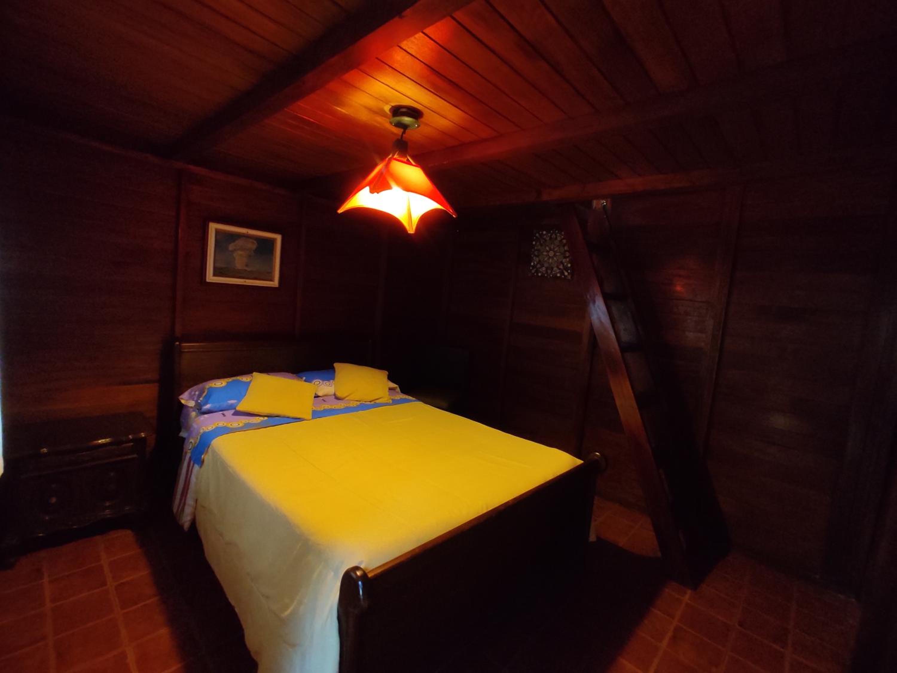 Aluna Home
