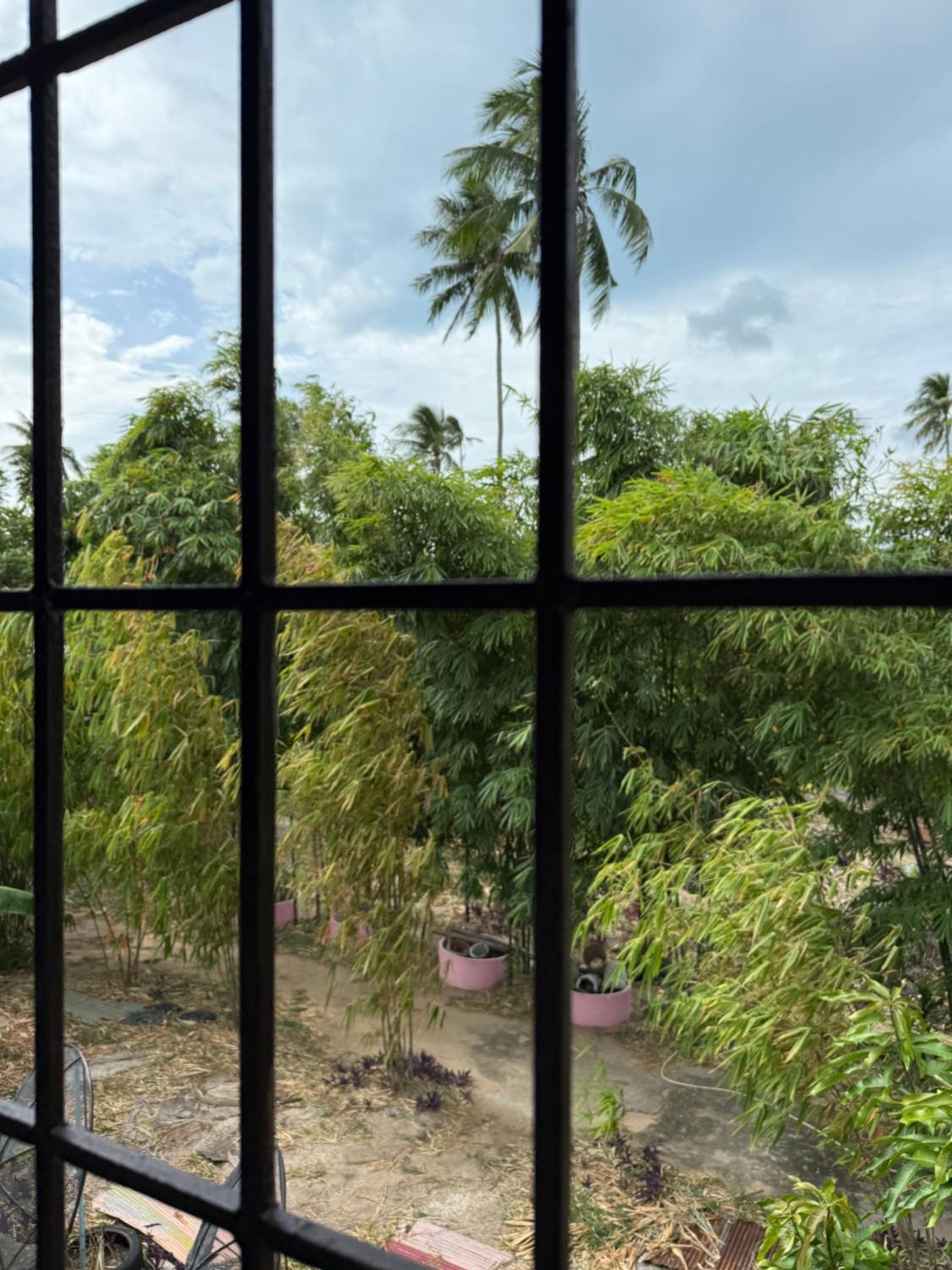 Dikachaya Hostel