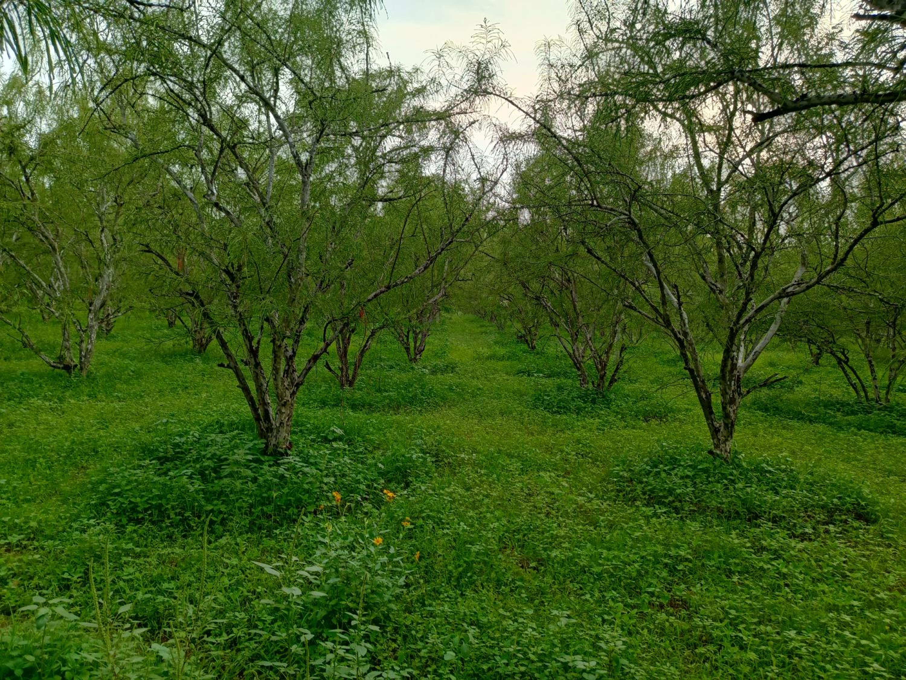 Photo 8